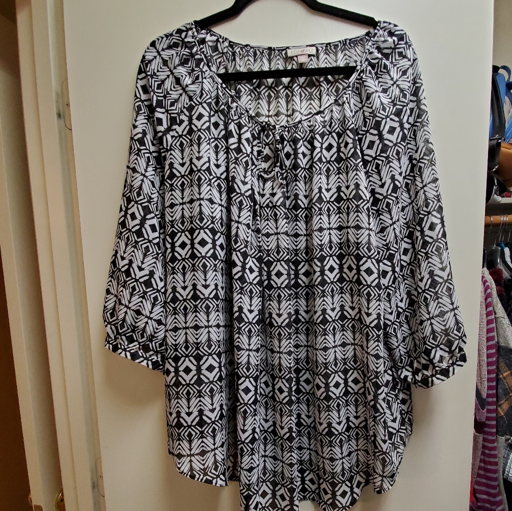 Dressbarn sheer top